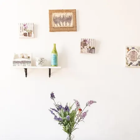 Apartment Mysa *